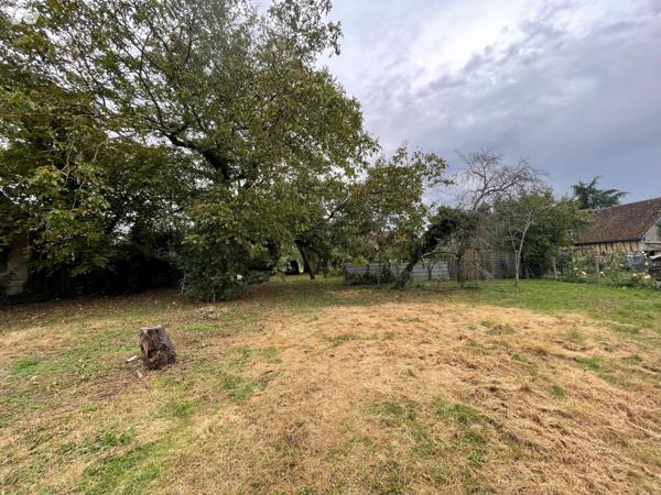 Terrain à bâtir arboré en partie au cœur de DOUCHY