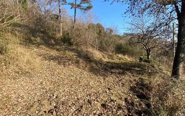 Maison à vendre    7 pièces •  Bourret