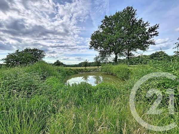Maison à vendre  4 pièces - 102,44 m 2   MUSSIDAN  - 24
