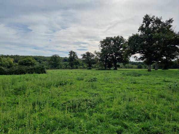 Maison à vendre à Montmorillon (86500) - Vienne