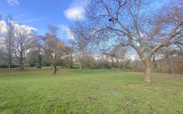 Maison à vendre    6 pièces •  Amou