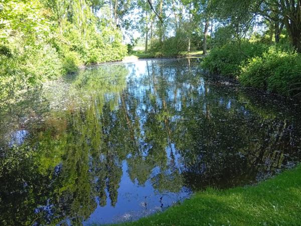 Braye-sous-Faye (37120) TERRAIN DE LOISIR ET PECHE
