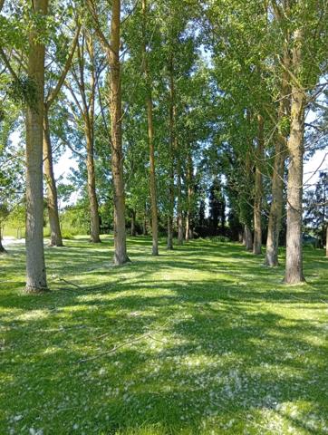 Braye-sous-Faye (37120) TERRAIN DE LOISIR ET PECHE