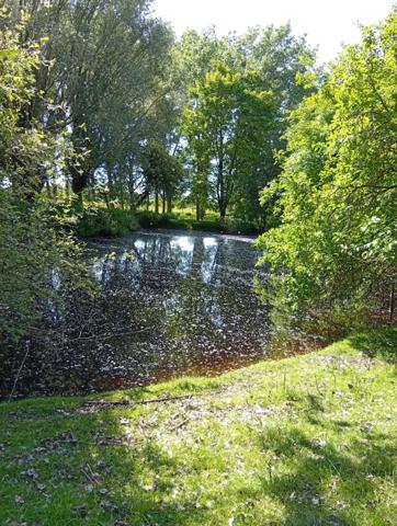 Braye-sous-Faye (37120) TERRAIN DE LOISIR ET PECHE