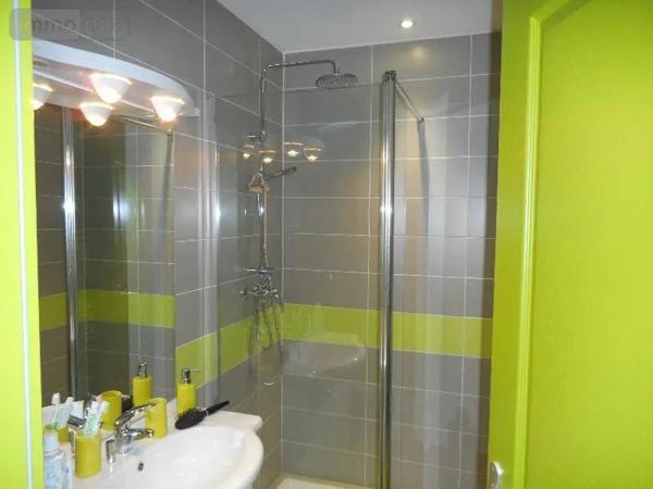 Achat - Immeuble | Immeuble de rapport Issoudun 36100 6 pièces 95 m 2 110 m 2