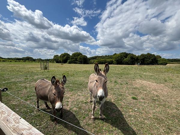 Maison Pontigne  7 pieces