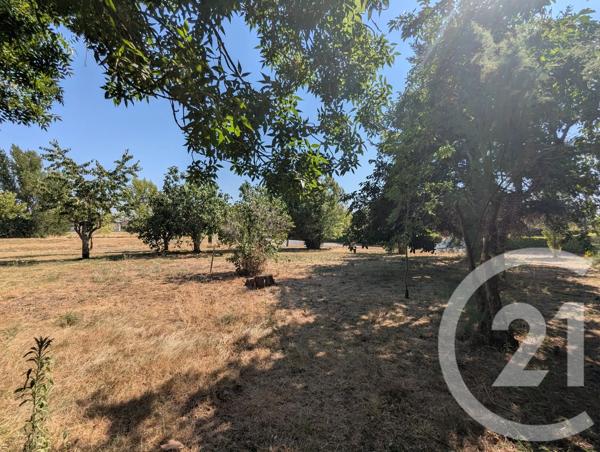 Terrain à vendre  700 m 2   GAILLAC  - 81