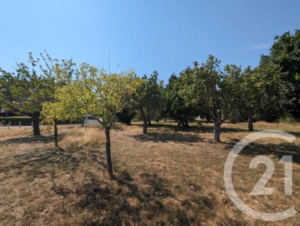 Terrain à vendre  700 m 2   GAILLAC  - 81
