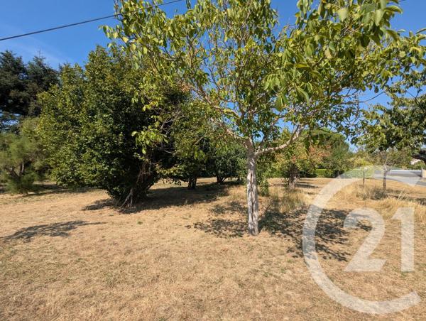Terrain à vendre  700 m 2   GAILLAC  - 81