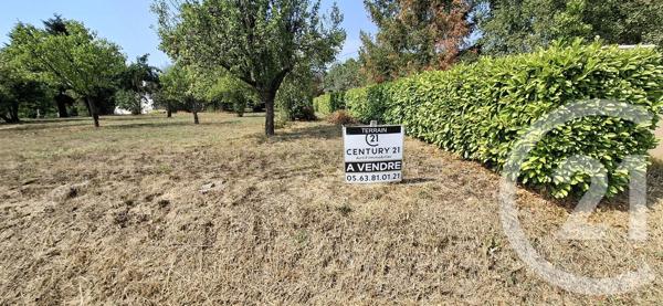 Terrain à vendre  700 m 2   GAILLAC  - 81