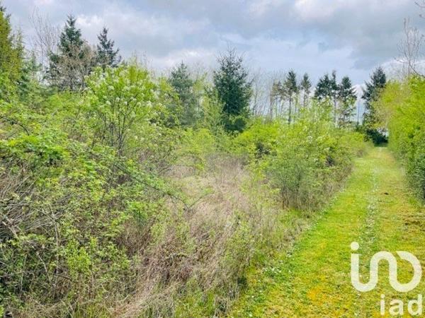 Maison à vendre 7 pièces 166 m² Beaugency