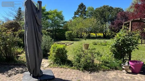 Achat - Maison Luynes 37230 6 pièces 196 m 2 1500 m 2