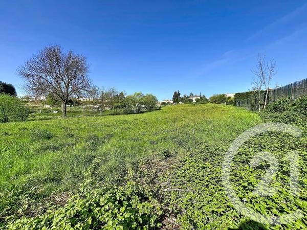 Terrain à vendre  1300 m 2   STE SIGOLENE  - 43