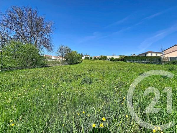 Terrain à vendre  1300 m 2   STE SIGOLENE  - 43