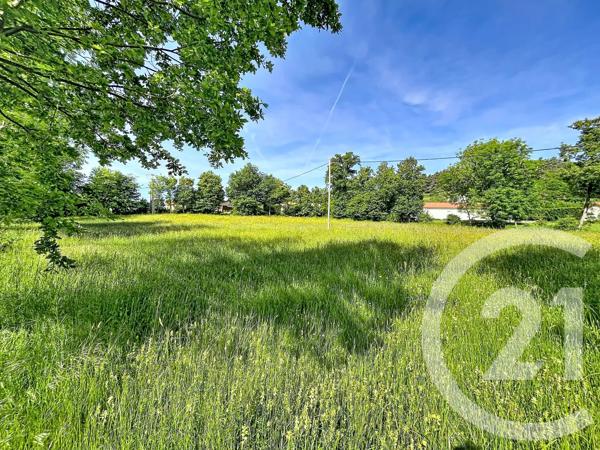 Terrain à vendre  1300 m 2   STE SIGOLENE  - 43