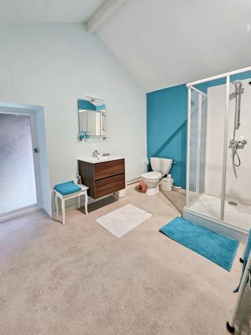 Dpt Allier (03), à vendre NERIS LES BAINS appartement T8 de 195 m² avec jardin privatif, idéalement situé