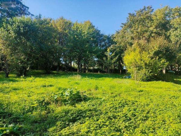 Terrain à Batir à vendre à Niort dans les Deux-Sèvres (79000), ref : 79003/305   
Saint Liguaire