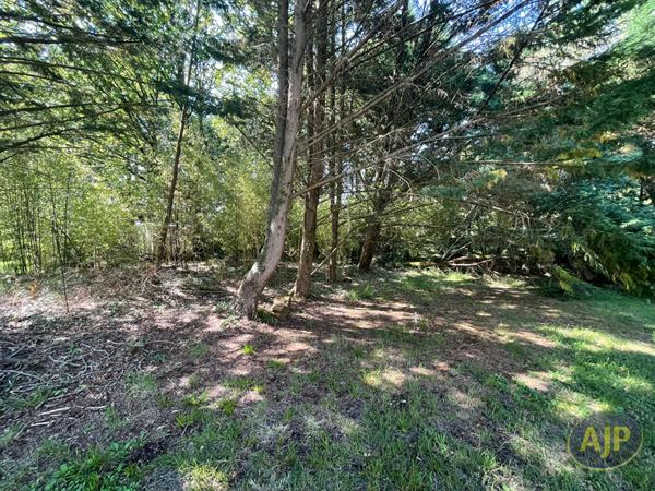 Vente terrain Soullans : 131 610 € - AJP Immobilier Challans