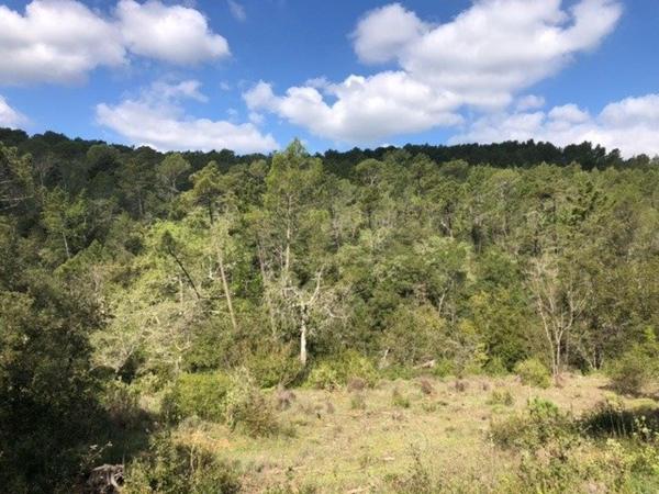 Terrain de loisirs