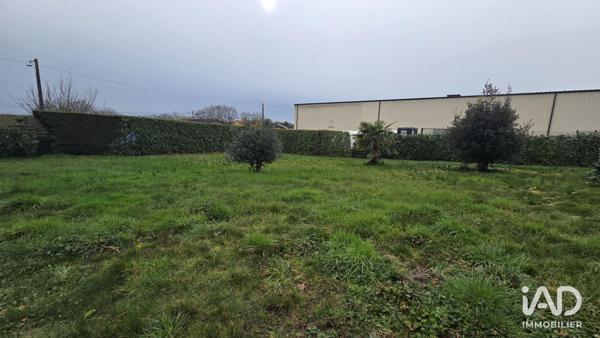 Appartement à vendre 6 pièces 217 m² Mauges-sur-Loire