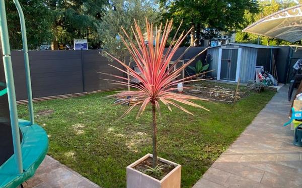 Maison à vendre    4 pièces • 79 m2 Pau