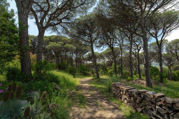 SAINT-TROPEZ - VILLA D'EXCEPTION EN NUE-PROPRIÉTÉ - 10 pièces - 603 m2 - terrain de 2 hectares