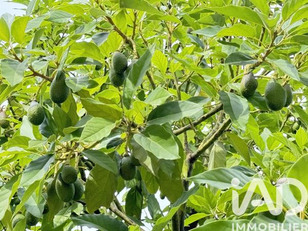 Maison à vendre 8 pièces 187 m² Cagnes-sur-Mer