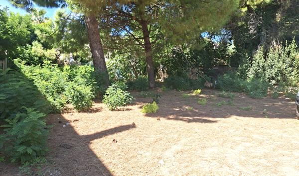 Béziers - Rare ! 651 m2, constructible et viabilisé