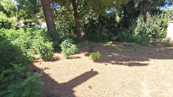 Béziers - Rare ! 651 m2, constructible et viabilisé