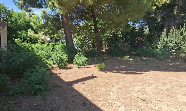 Béziers - Rare ! 651 m2, constructible et viabilisé