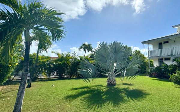 Appartement à vendre    1 pièce • 21,80 m2 Saint-François