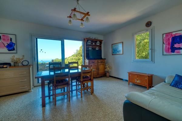 A Vendre Maison T6 Barbaggio
