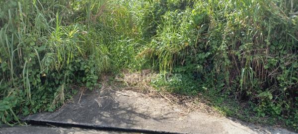 Dépt Martinique (972) à vendre Terrain GROS-MORNE 5303,00 m² - 459 000 €