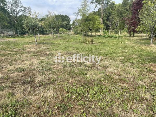 Terrain
        
        - 800 m² 136 000 € *