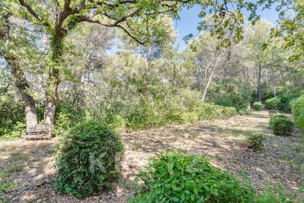 Mas authentique en position dominante proche IBS