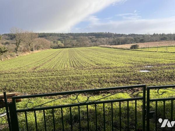 VENTE MAISON PLOUMAGOAR