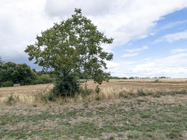 Terrain à vendre à Pressignac (16150) - Charente