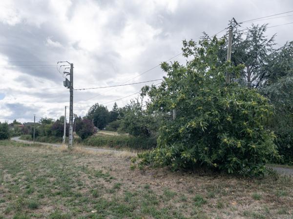 Terrain à vendre à Pressignac (16150) - Charente
