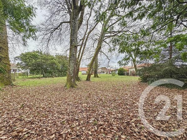 Maison à vendre  4 pièces - 108,87 m 2   LE TEICH  - 33