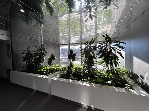 Bureaux rénovés à louer à Pessac avec parking et fibre optique