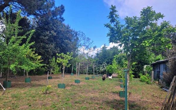 Maison à vendre    3 pièces •  Gabarret