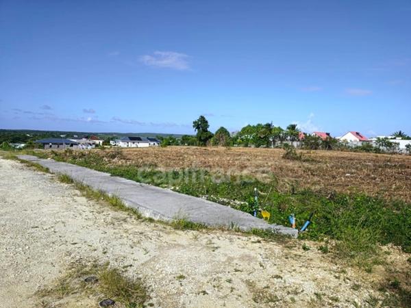 Terrain à vendre ANSE BERTRAND (971)