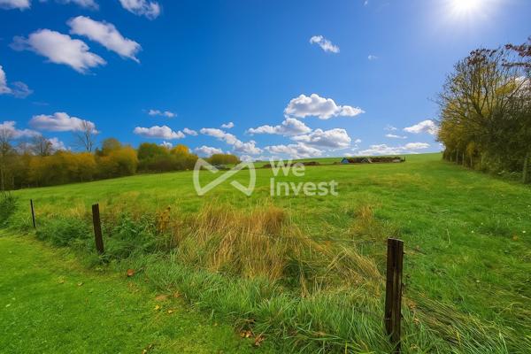 Terrain constructible de 3 379 m² avec vue exceptionnelle – Villers-Cernay