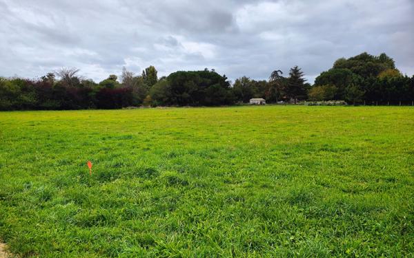 Terrain à vendre    Noé