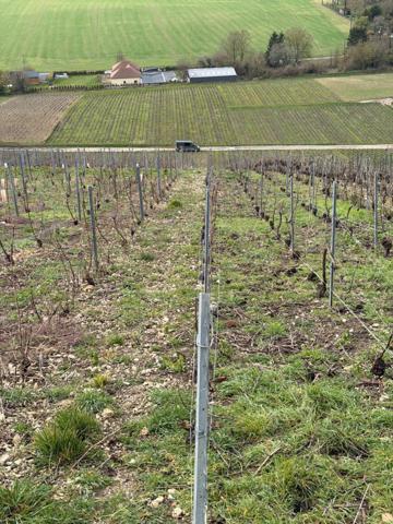 Libres de tous droits