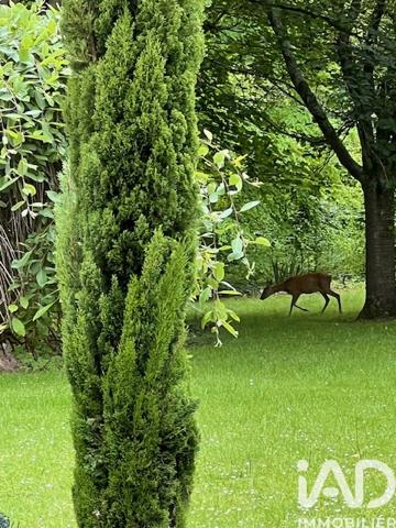 Maison à vendre 10 pièces 319 m² Avion