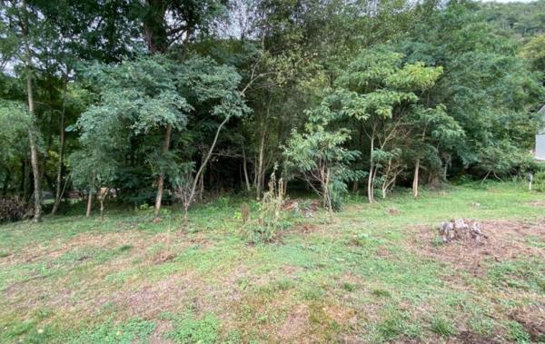 Vente Terrain Mercus-garrabet   