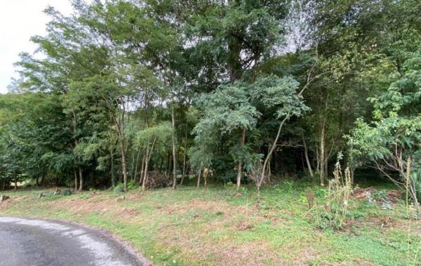 Vente Terrain Mercus-garrabet   