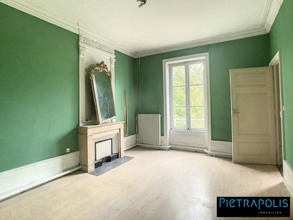 GRAND PLATEAU A AMENAGER A ST GEORGES DE RENEINS EN DUPLEX AVEC JARDIN