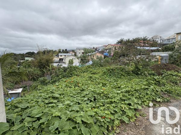 Terrain à vendre 386 m² Le Tampon